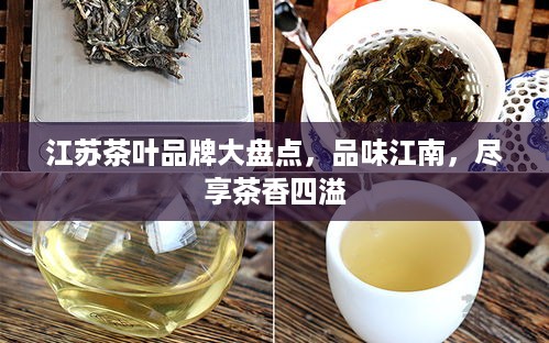 江苏茶叶品牌大盘点，品味江南，尽享茶香四溢