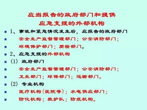 如何挑选心仪的冰箱品牌，实用指南与案例分析