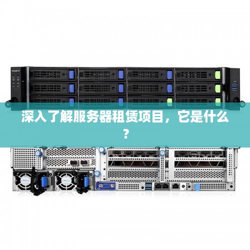 深入了解服务器租赁项目，它是什么？