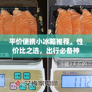 平价便携小冰箱推荐，性价比之选，出行必备神器！