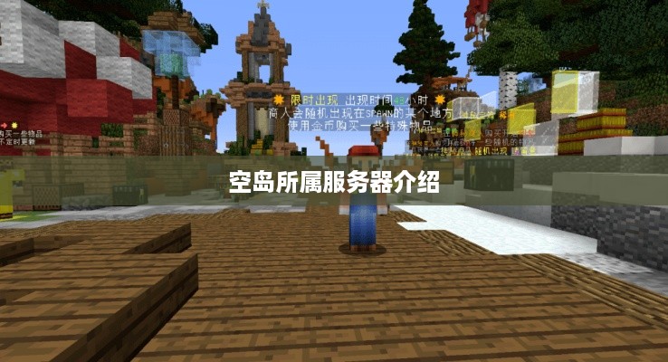 空岛所属服务器介绍