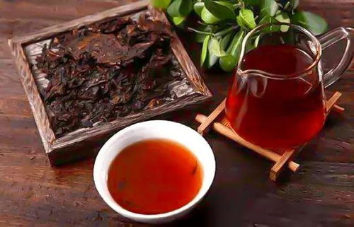 思茅茶叶品牌店探秘，品味普洱之源的独特韵味
