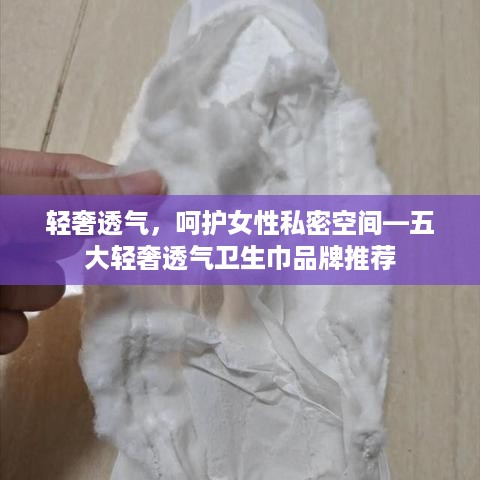 轻奢透气，呵护女性私密空间—五大轻奢透气卫生巾品牌推荐