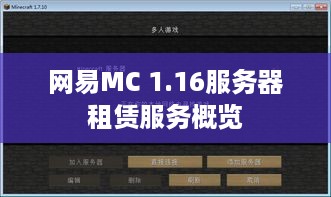 网易MC 1.16服务器租赁服务概览