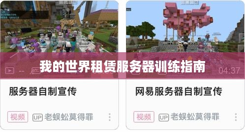 我的世界租赁服务器训练指南