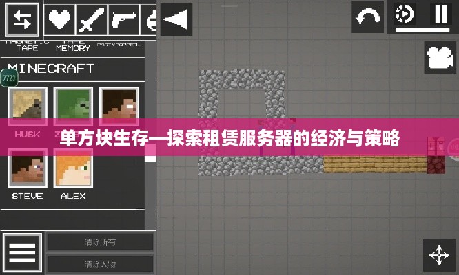单方块生存—探索租赁服务器的经济与策略