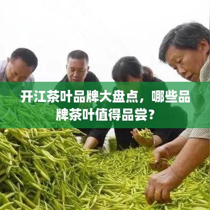 开江茶叶品牌大盘点，哪些品牌茶叶值得品尝？