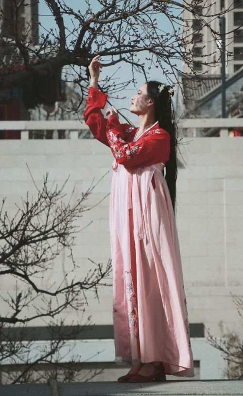 探寻碎花之美—破碎感汉服品牌的独特魅力