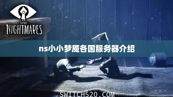 ns小小梦魇各国服务器介绍