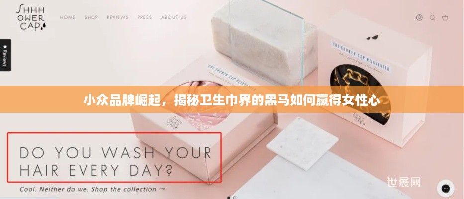 小众品牌崛起，揭秘卫生巾界的黑马如何赢得女性心