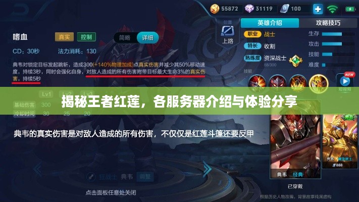 揭秘王者红莲，各服务器介绍与体验分享
