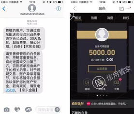白条快速套出指南