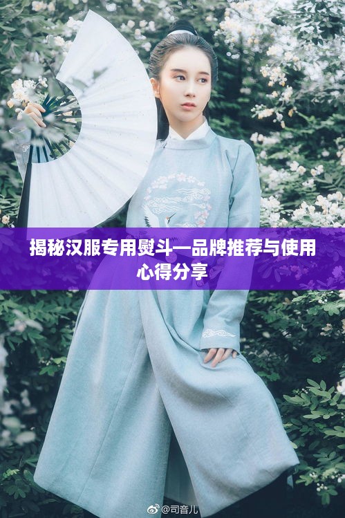 揭秘汉服专用熨斗—品牌推荐与使用心得分享