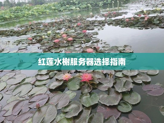 红莲水榭服务器选择指南