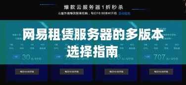 网易租赁服务器的多版本选择指南