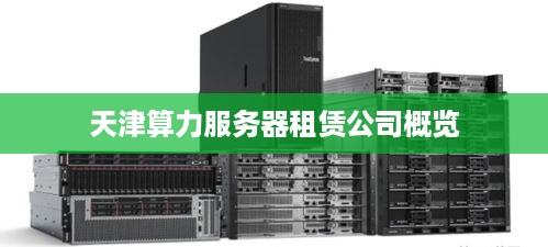 天津算力服务器租赁公司概览