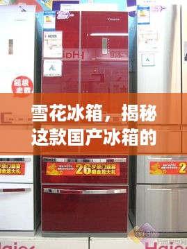 雪花冰箱，揭秘这款国产冰箱的崛起之路