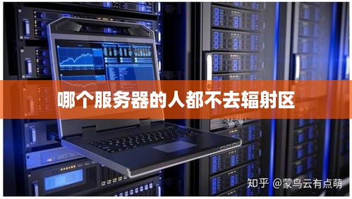 哪个服务器的人都不去辐射区