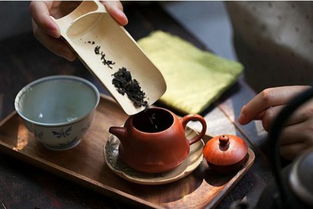 茶叶界网红品牌大盘点，谁才是你的心头好？