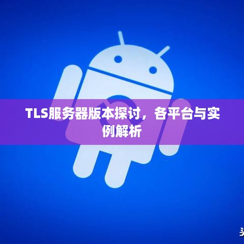 TLS服务器版本探讨，各平台与实例解析