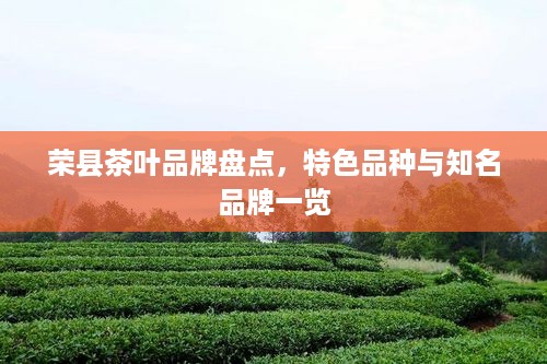 荣县茶叶品牌盘点，特色品种与知名品牌一览