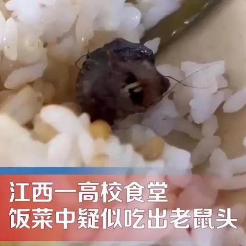 抖音月付套出来攻略，揭秘高招地点与案例解析