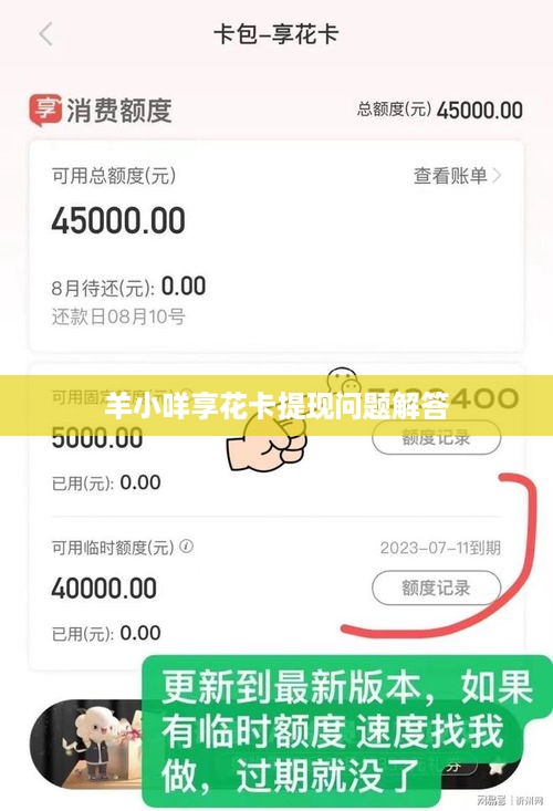 羊小咩享花卡提现问题解答