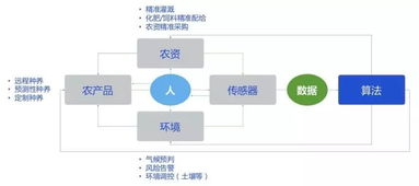 高邮网站服务器租赁费用概览与案例解析
