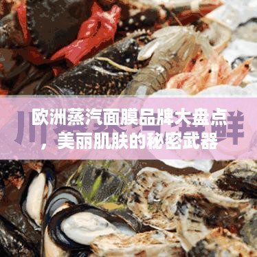 欧洲蒸汽面膜品牌大盘点，美丽肌肤的秘密武器