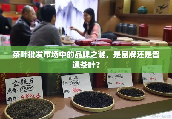 茶叶批发市场中的品牌之谜，是品牌还是普通茶叶？