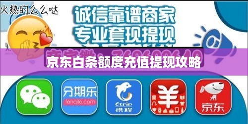 京东白条额度充值提现攻略