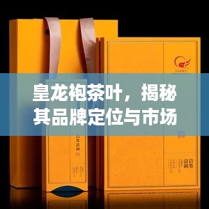 皇龙袍茶叶，揭秘其品牌定位与市场表现