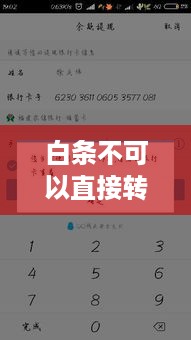白条不可以直接转账提现吗？案例解析与说明