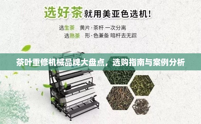 茶叶重修机械品牌大盘点，选购指南与案例分析