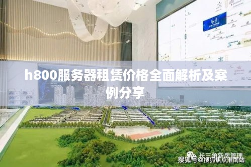h800服务器租赁价格全面解析及案例分享
