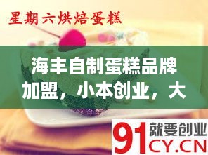 海丰自制蛋糕品牌加盟，小本创业，大市场前景！