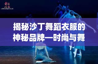 揭秘沙丁舞蹈衣服的神秘品牌—时尚与舞动的完美结合