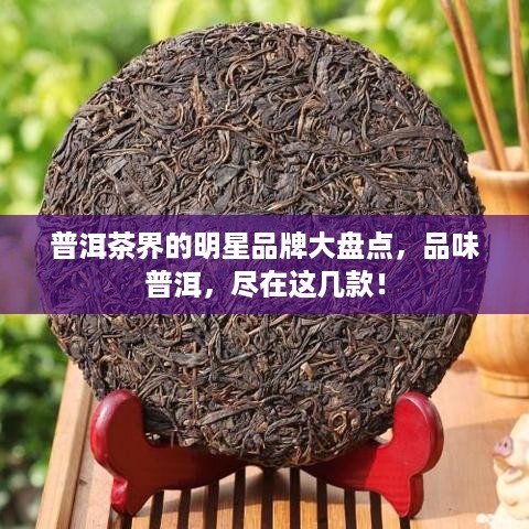 普洱茶界的明星品牌大盘点，品味普洱，尽在这几款！