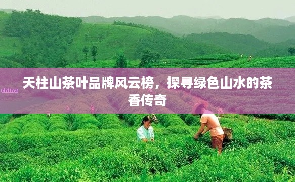 天柱山茶叶品牌风云榜，探寻绿色山水的茶香传奇