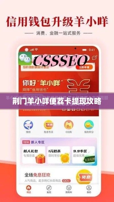 荆门羊小咩便荔卡提现攻略