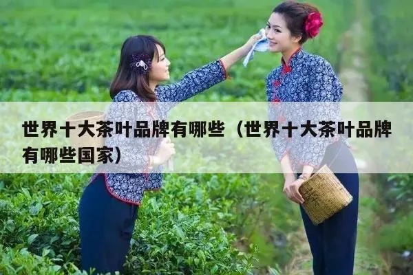 全球茶叶大品牌盘点，品味茶香，领略世界茶韵