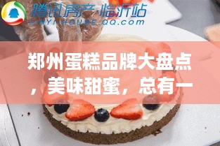 郑州蛋糕品牌大盘点，美味甜蜜，总有一款是你的心头好！