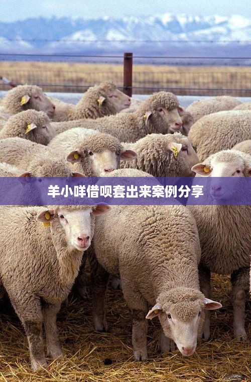 羊小咩借呗套出来案例分享