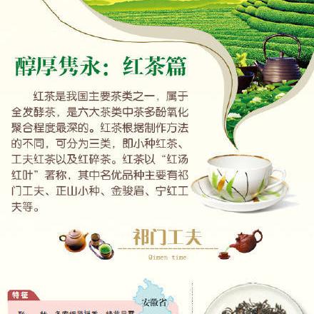 探寻世界茶香之源，国外最古老的茶叶品牌揭秘