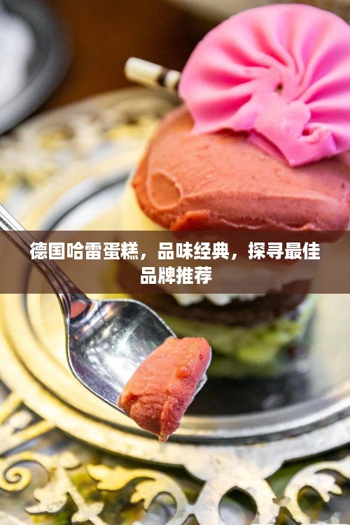 德国哈雷蛋糕，品味经典，探寻最佳品牌推荐