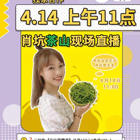 肖坑茶叶—品味历史沉淀，传承匠心精神