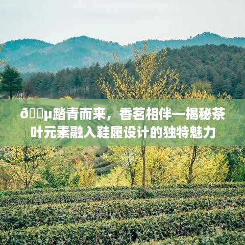 🍵踏青而来，香茗相伴—揭秘茶叶元素融入鞋履设计的独特魅力