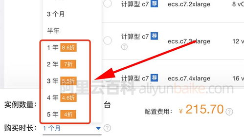 如何租用服务器，费用明细与案例解析