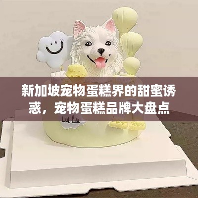 新加坡宠物蛋糕界的甜蜜诱惑，宠物蛋糕品牌大盘点