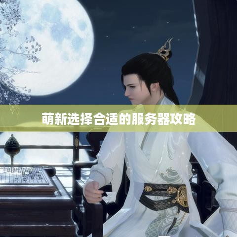 萌新选择合适的服务器攻略
